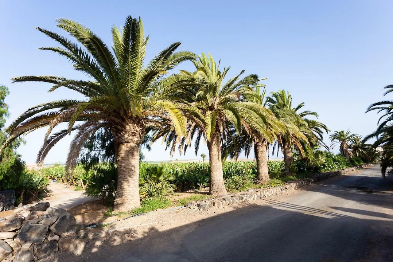 Casita 3, Caserio de Guaza Palm-mar Casa rural
